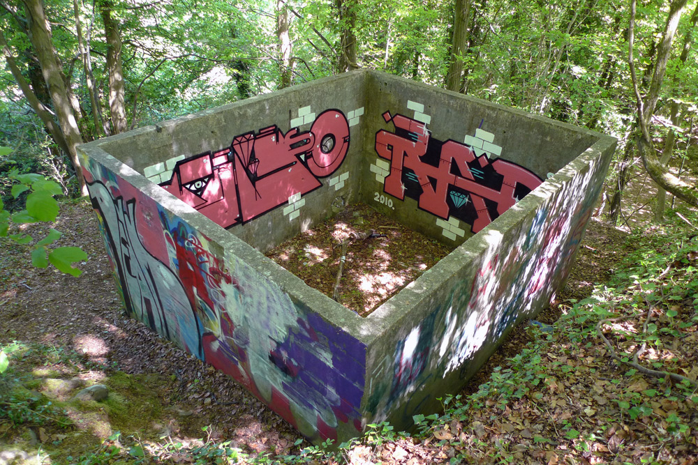 Graffiti - Leigh Woods, Bristol