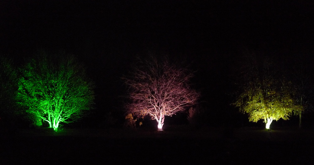 After Dark - Tree Lights, Marshfield, Bath